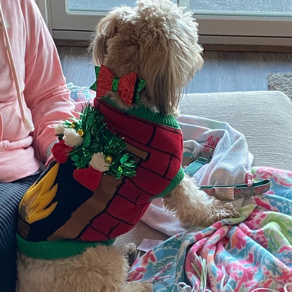 Merry and Bright Dog ugly Christmas Sweater size medium